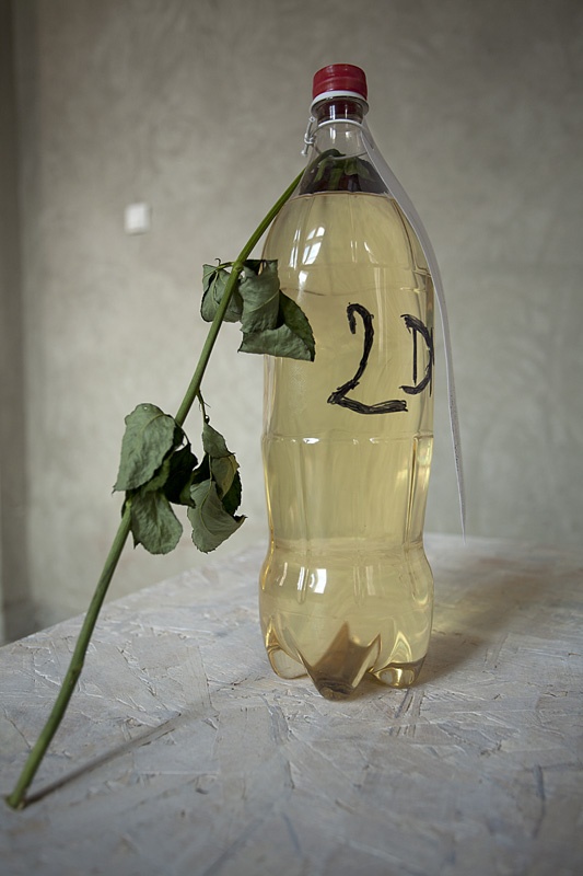 Tijana Trkulja Benzin i ruza 1