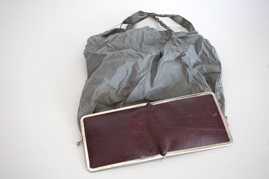 BujanovacTorbanovcanik