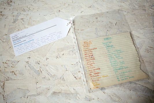 Ruzica Devic Svastara 1