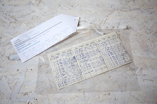 Senka Latinovic Clanska karta za biblioteku